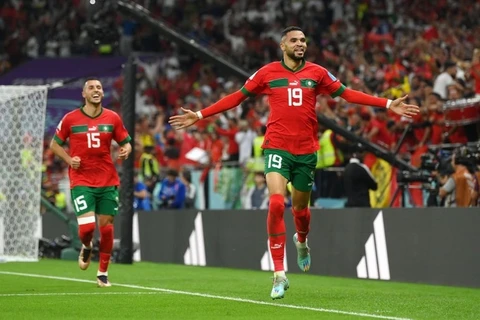 Đại sứ Maroc: Nhiều khán giả Việt Nam đang ủng hộ Maroc tại World Cup