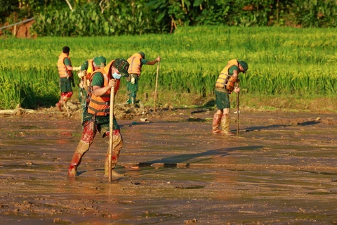 Lực lượng quân đội tìm kiếm các nạn nhân mất tích do sạt lở đất tại làng Nủ, xã Phúc Khánh, huyện Bảo Yên (Lào Cai). (Ảnh: Dương Giang/TTXVN)