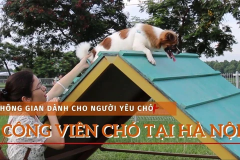 Có gì trong công viên dành cho ''cún cưng'' đầu tiên tại Hà Nội? (Ảnh: Minh Anh/Vietnam+)