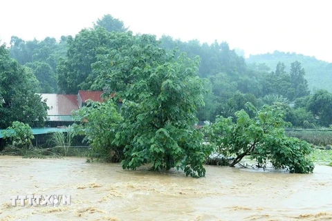 Mưa lũ khó lường: Người dân cần tuân thủ nghiêm hướng dẫn phòng chống thiên tai