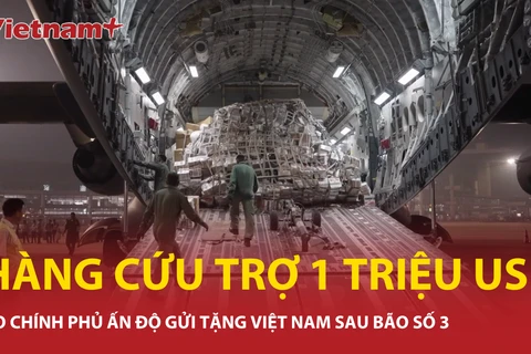 Ấn Độ gửi tặng Việt Nam gửi tặng số hàng cứu trợ bão lũ trị giá 1 triệu USD