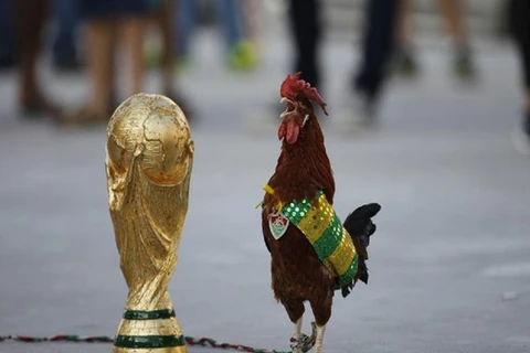 Những hình ảnh đặc sắc nhất về vòng chung kết World Cup