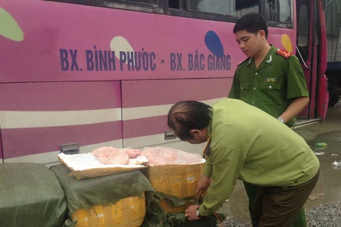 Gần 1 tấn nầm lợn đang bốc mùi hôi thối bị thu giữ khi đang trên đường vận chuyển vào phía Nam tiêu thụ. (Ảnh: Đức Duy/Vietnam+)