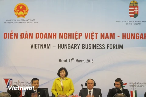 Việt Nam "chào đón" Hungary đầu tư vào công nghiệp và logistic