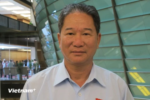 Đại biểu Nguyễn Bá Thuyền (Trưởng đoàn quốc hội tỉnh Lâm Đồng) đang trao đổi với báo chí (Ảnh: Đức Duy/Vietnam+)