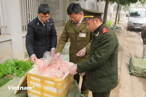 Lực lượng liên ngành thành phố Hà Nội bắt giữ thực phẩm bẩn đang đưa vào nội đô tiêu thụ (Ảnh: Đức Duy/Vietnam+)