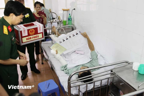 Các bác sỹ Bệnh viện Quân y 108 đưa hòm phiếu tới tận giường để bệnh nhân thực hiện quyền công dân. (Ảnh: Doãn Đức/Vietnam+)