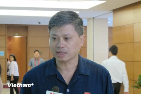 Đại biểu Nguyễn Sỹ Cương, Ủy viên Thường trực Uỷ ban Đối ngoại của Quốc hội. (Ảnh: Đức Duy/Vietnam+)