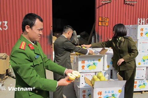 Đoàn kiểm tra liên ngành số 1 Hà Nội thu giữ gần 4 tấn trái cây không rõ nguồn gốc. (Ảnh: Đức Duy/Vietnam+)
