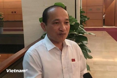 Đại biểu Nguyễn Thanh Hiền, Hiệu trưởng trường Chính trị tỉnh Nghệ An. (Ảnh: Đức Duy/Vietnam+)