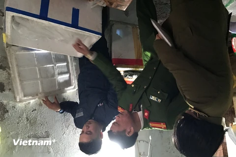Lực lượng liên ngành quận Hoàng Mai bắt quả tang cơ sở bơm tạp chất vào tôm. (Ảnh: Đức Duy/Vietnam+)