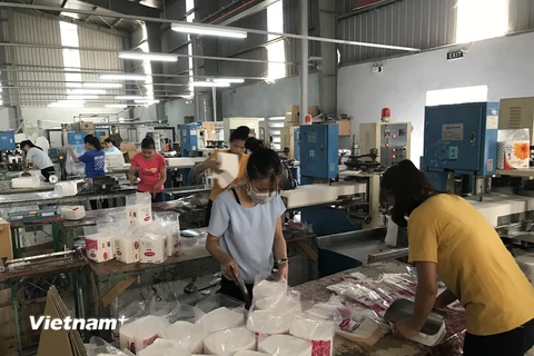 Dây chuyền sản xuất sản phẩm khăn ăn và giấy vệ sinh của Công ty Tiến Hiếu. (Ảnh: PV/Vietnam+)
