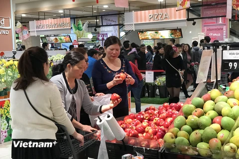 Ảnh chỉ mang tính minh họa. (Nguồn: Đức Duy/Vietnam+)