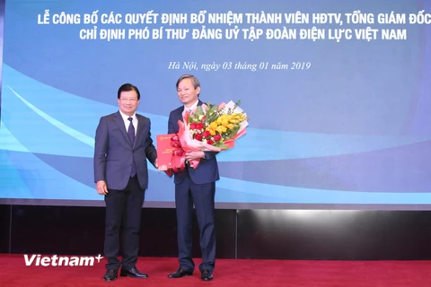 Ông Trần Đình Nhân được bổ nhiệm làm Tổng Giám đốc EVN. (Ảnh: PV/Vietnam+)