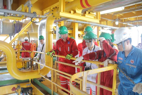 Lãnh đạo PVN kiểm tra công tác tại mỏ Cá Tầm vào tháng 1/2019. (Ảnh: Đức Duy/Vietnam+)