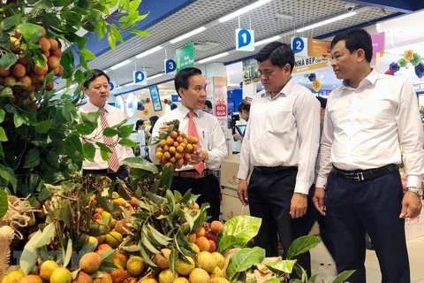 11 địa phương phía Bắc của Việt Nam sẽ giới thiệu, quảng bá sản phẩm nông sản, thực phẩm tại Trung Quốc từ ngày 10-13/6. (Ảnh: Đức Duy/Vietnam+)