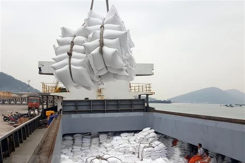 Sau 2 tháng xuất khẩu gạo của Việt Nam đạt khoảng 930.000 tấn. (Ảnh: TTXVN)
