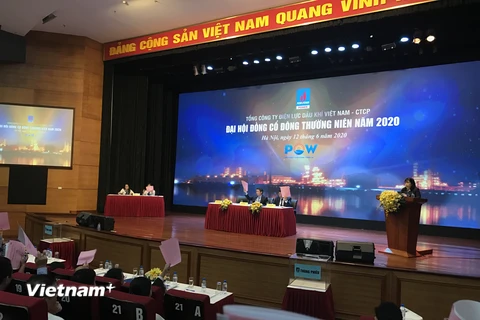 Đại hội cổ đông Tổng công ty Điện lực Dầu khí Việt Nam ngày 12/6. (Ảnh: Đức Duy/Vietnam+)