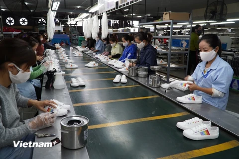 Các doanh nghiệp da giày đẩy mạnh sản xuất, tận dụng cơ hội từ các FTA để thúc đẩy xuất khẩu. (Ảnh: Đức Duy/Vietnam+)