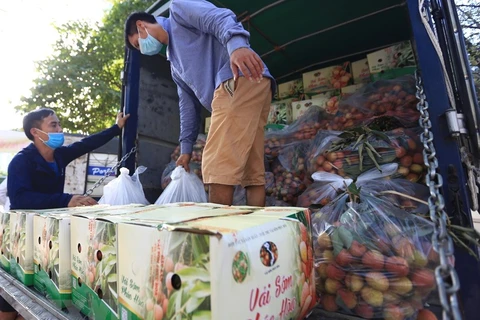 Nhiều doanh nghiệp và siêu thị cùng vào cuộc đẩy mạnh tiêu thụ trái vải. (Ảnh: PV/Vietnam+)