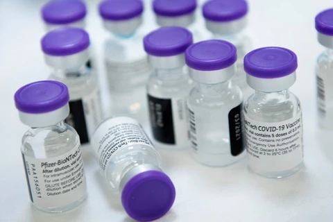 Cơ quan Điều tra An ninh Nội địa Hoa Kỳ và hãng dược phẩm Pfizer sẽ tập huấn trực tuyến phân biệt vaccine Pfizer cho toàn lực lượng Quản lý thị trường. (Ảnh: TTXVN)