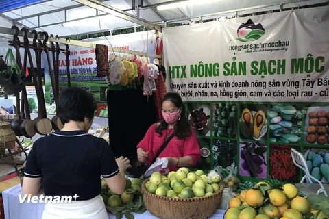 Lễ hội trái cây 2021 tại Hà Nội là cơ hội để các địa phương thực hiện hoạt động xúc tiến thương mại, nâng cao giá trị sản phẩm trái cây, nông sản. (Ảnh: Xuân Quảng/Vietnam+) 