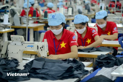 Tổng Công ty May 10 đẩy mạnh sản xuất và xuất khẩu. (Ảnh: PV/Vietnam+)