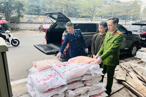 Lực lượng liên ngành tạm giữ gần 1 tấn nầm lợn trên địa bàn quận Hoàn Kiếm. (Ảnh: PV/Vietnam+)