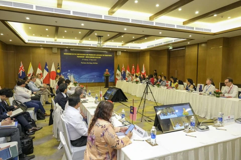 Phiên đàm phán gia nhập hiệp định CPTPP của Vương Quốc Anh tổ chức tại Phú Quốc. (Ảnh: PV/Vietnam+)