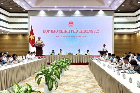 Bộ trưởng Trần Văn Sơn chủ trị phiên họp báo Chính phủ. (Ảnh: PV/Vietnam+)