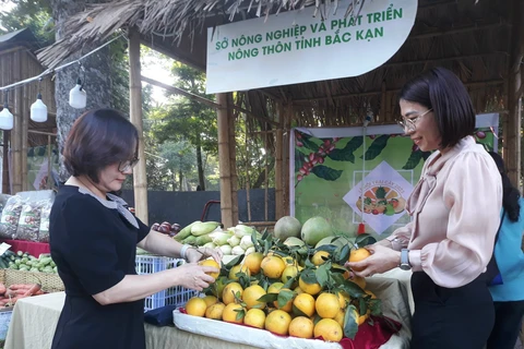 Đặc sản các địa phương góp mặt tại Lễ hội trái cây Hà Nội 2023. (Ảnh: Xuân Quảng/Vietnam+)