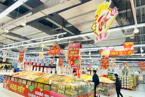 Người tiêu dùng mua sắm hàng Tết tại siêu thị. (Ảnh: Đức Duy/Vietnam+) 