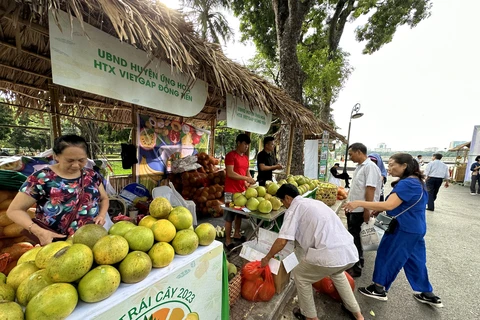 Người tiêu dùng mua sản phẩm VietGap tại Lễ hội trái cây. (Ảnh: Xuân Quảng/Vietnam+)