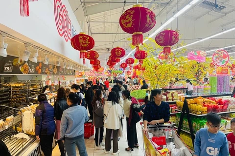 Người dân mua sắm hàng Tết tại hệ thống siêu thị GO! Big C. (Ảnh: Đức Duy/Vietnam+)