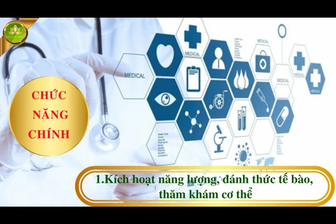 Ủy ban Cạnh tranh Quốc gia cảnh báo dấu hiệu hoạt động kinh doanh theo phương thức đa cấp của Công ty Thương mại Trí tuệ tự nhiên. (Ảnh: PV/Vietnam+)