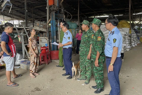 Lực lượng liên ngành kiểm tra cơ sở kinh doanh túi nhựa PP tại tỉnh An Giang. (Ảnh: PV/Vietnam+)