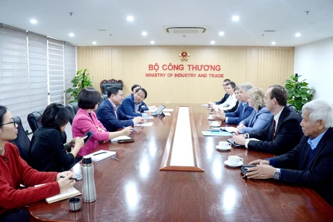 Thứ trưởng Bộ Công Thương Nguyễn Sinh Nhật Tân làm việc với đại diện Tập đoàn Novatek. (Ảnh: PV/Vietnam+)