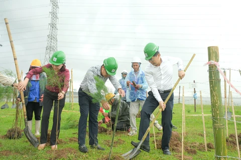 Các đại biểu thuộc Petrovietnam trồng cây xanh tại Vườn cây Công đoàn Dầu khí, Nhà máy Nhiệt điện Thái Bình 2. (Ảnh: PV/Vietnam+)