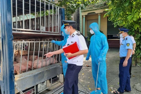 Lực lượng liên ngành tỉnh Thái Nguyên kiểm tra phương tiện chở động vật lưu thông trên địa bàn. (Ảnh: dms)