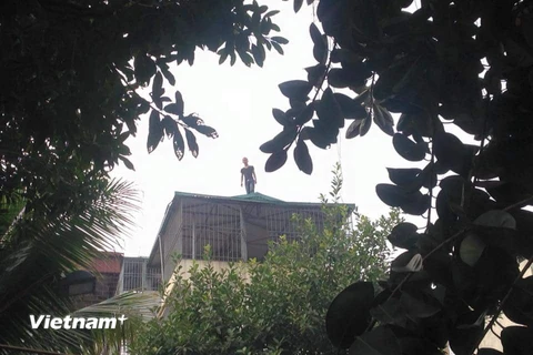 Thanh niên nghi ngáo đá cố thủ trên nóc nhà 4 tầng 10 giờ đồng hồ (Ảnh: Sơn Bách/Vietnam+)