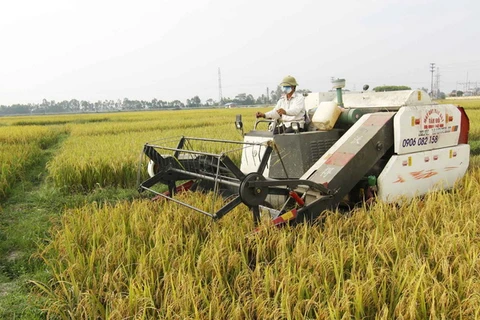 Việt Nam-Israel hợp tác toàn diện lĩnh vực nông nghiệp