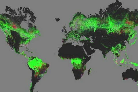 Bản đồ về diện tích rừng Trái Đất. (Nguồn: BBC)