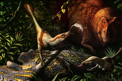 Phát hiện hóa thạch khủng long ăn thịt mới ở Canada