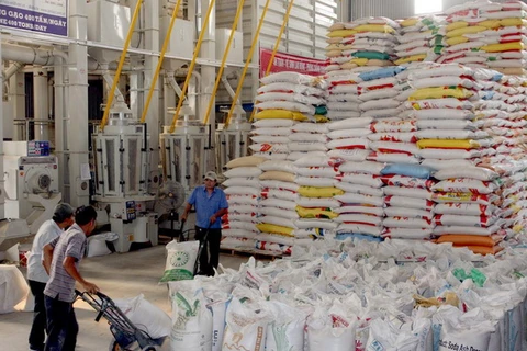 Hướng tới dòng gạo chất lượng khi xuất sang châu Phi 