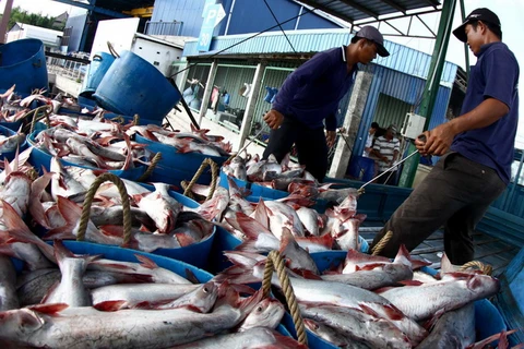 Truyền hình Australia đánh giá tích cực về thủy sản Việt