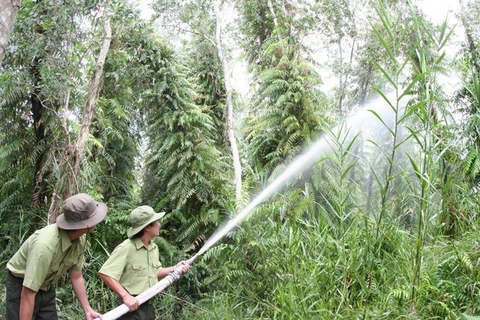 Cảnh báo cháy rừng Kiên Giang ở cấp cực kỳ nguy hiểm