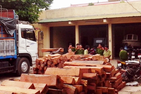 Gia Lai: Tình trạng vận chuyển gỗ lậu diễn ra công khai