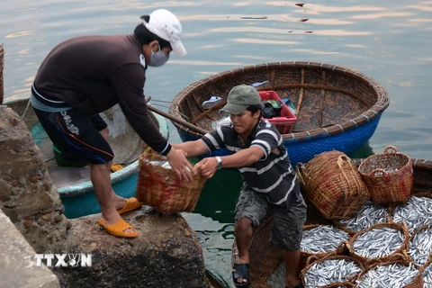 Phát triển kinh tế thủy sản kết hợp giữ chủ quyền biển đảo