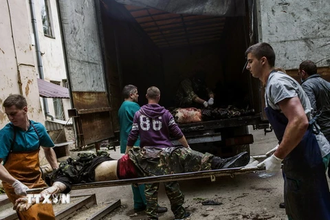 EU kêu gọi Nga hợp tác chấm dứt bạo lực ở Đông Ukraine