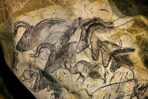 Hang Grotte Chauvet ở Pháp nhận danh hiệu Di sản thế giới